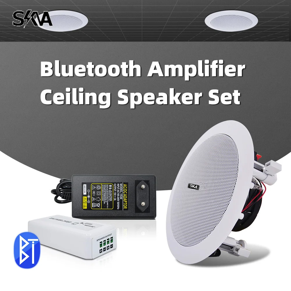 블루투스 앰프 휴대용 미니 앰프 및 20W 동축 천장  - Portable Amplifier Mini 리뷰 및 가격