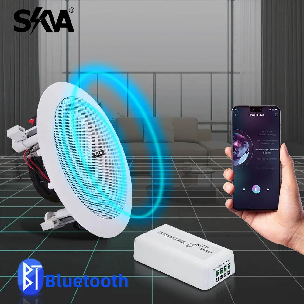 블루투스 앰프 휴대용 미니 앰프 및 20W 동축 천장  - Portable Amplifier Mini 리뷰 및 가격
