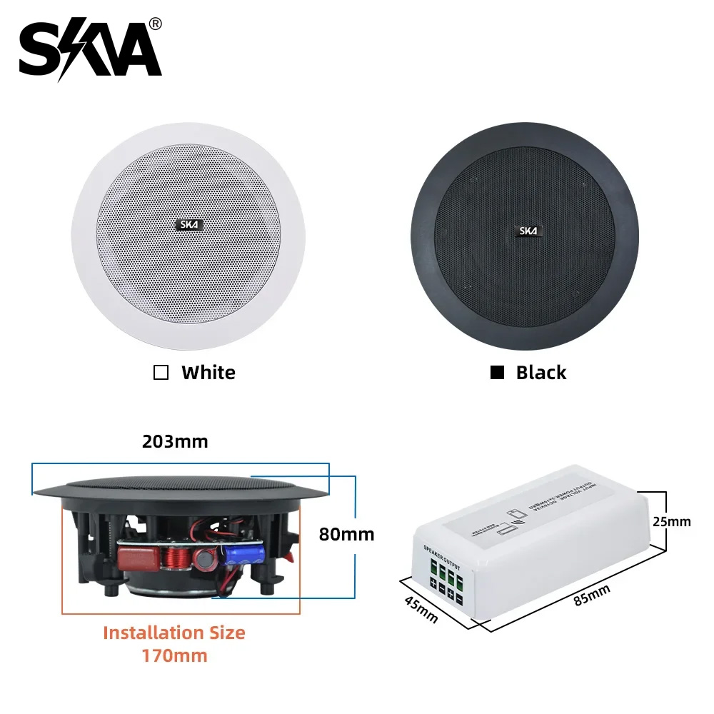 블루투스 앰프 휴대용 미니 앰프 및 20W 동축 천장  - Portable Amplifier Mini 리뷰 및 가격