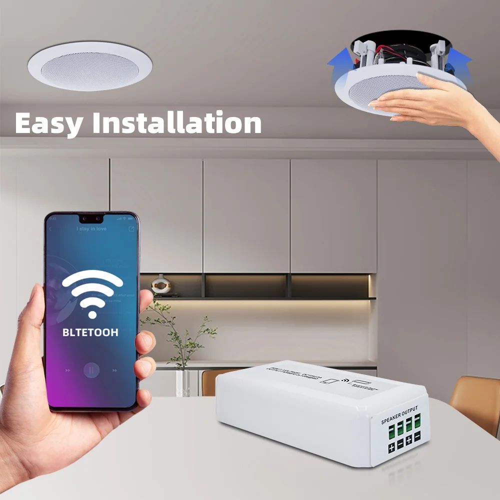 블루투스 앰프 휴대용 미니 앰프 및 20W 동축 천장  - Portable Amplifier Mini 리뷰 및 가격